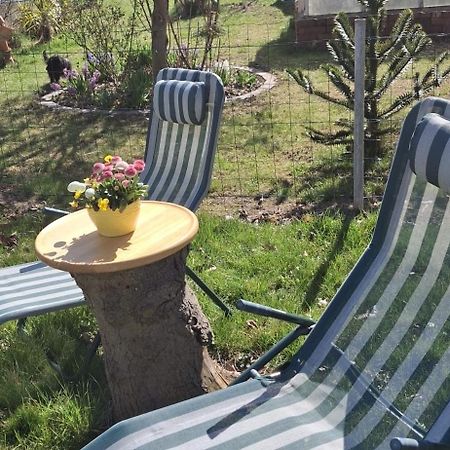 Ferienwohnung Rosengarten Ballenstedt Extérieur photo
